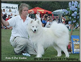 Polarvargens Kennel -  Mackan i Norrköping