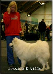 Polarvargens Kennel -  Jessica & Wille